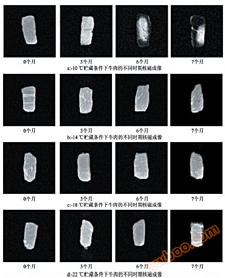 低场核磁共振技术在肉品研究中的应用（文献解读）