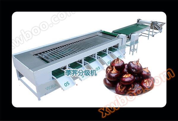 Water chestnut classifier