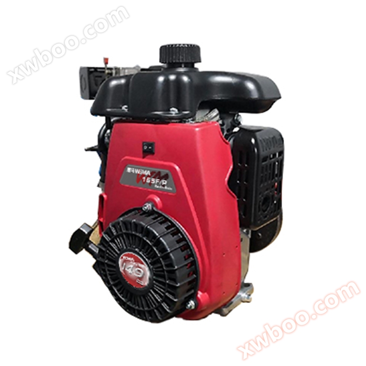 WM165F/P gasoline engine